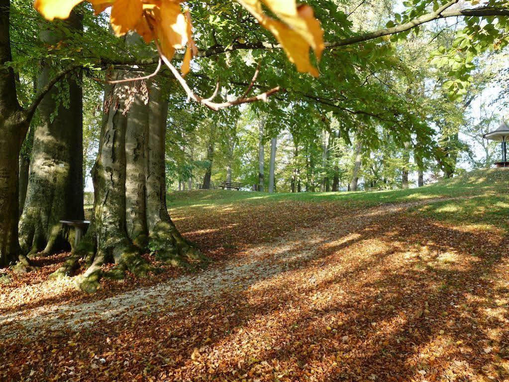 Parkhotel Zur Klause Bad Hall Luaran gambar