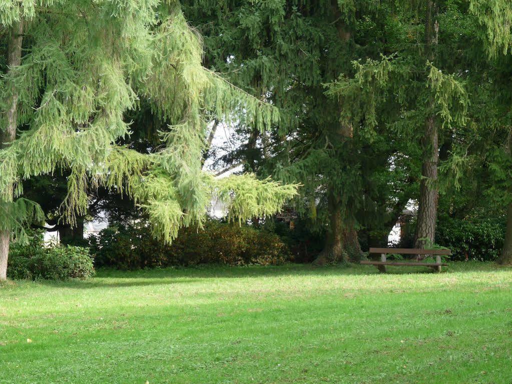 Parkhotel Zur Klause Bad Hall Luaran gambar